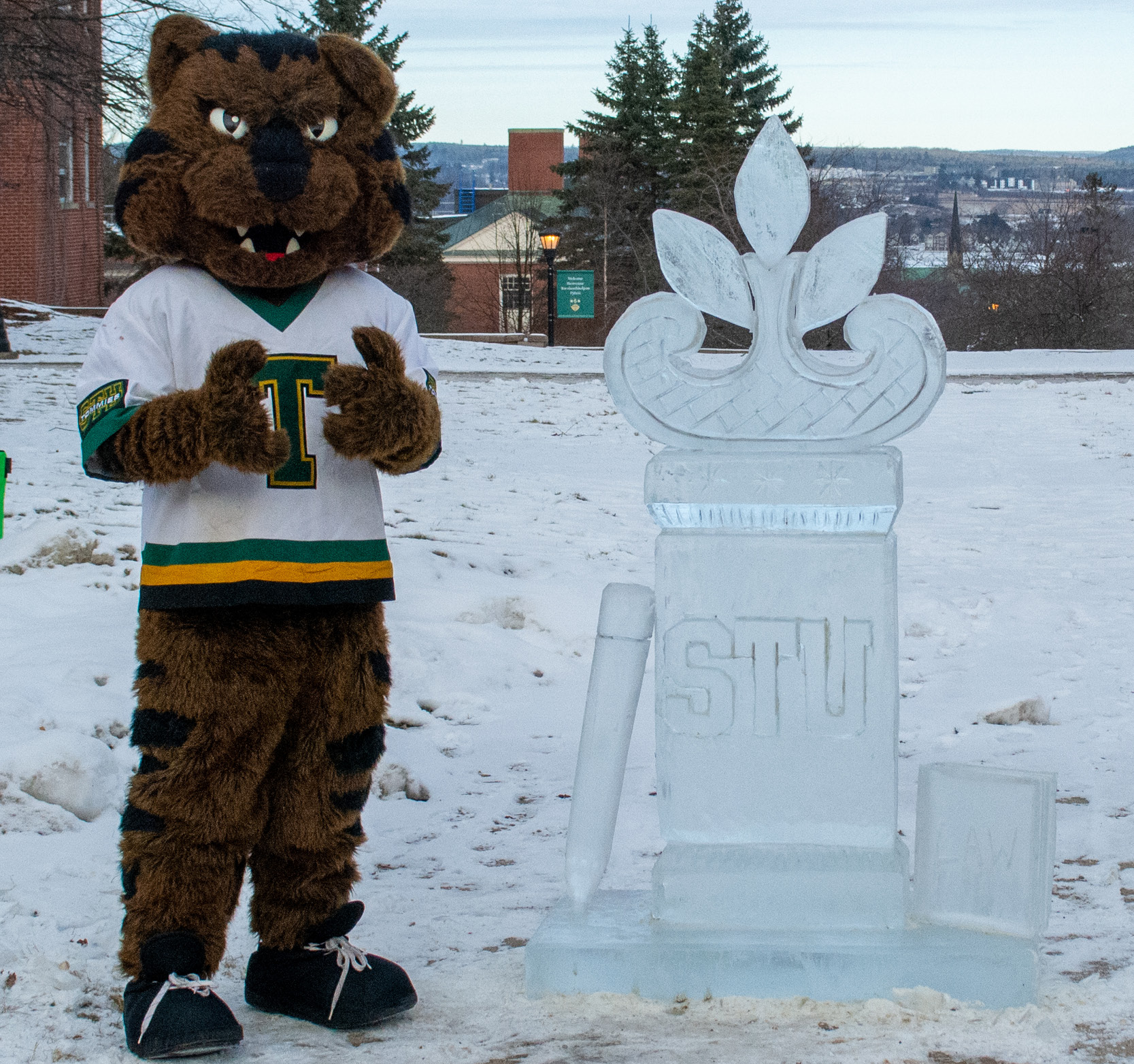 Image for Welcome Back Winter Carnival 