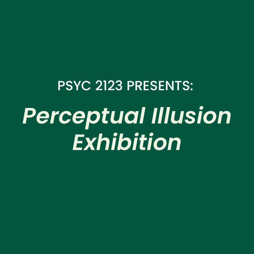 PSYC 2123: Perceptual Illusion Exhibition
